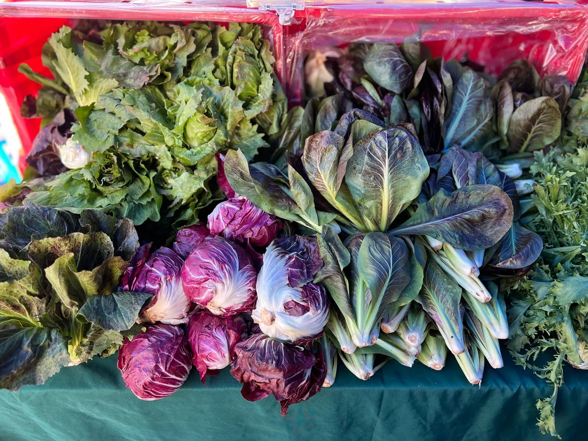 Assorted fresh lettuces and leafy vegetables laid out at a market stall